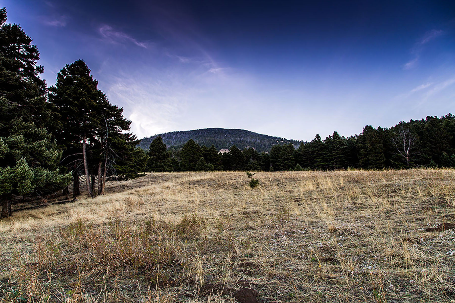 Quagle Creek Ranch property picture 16 of 19