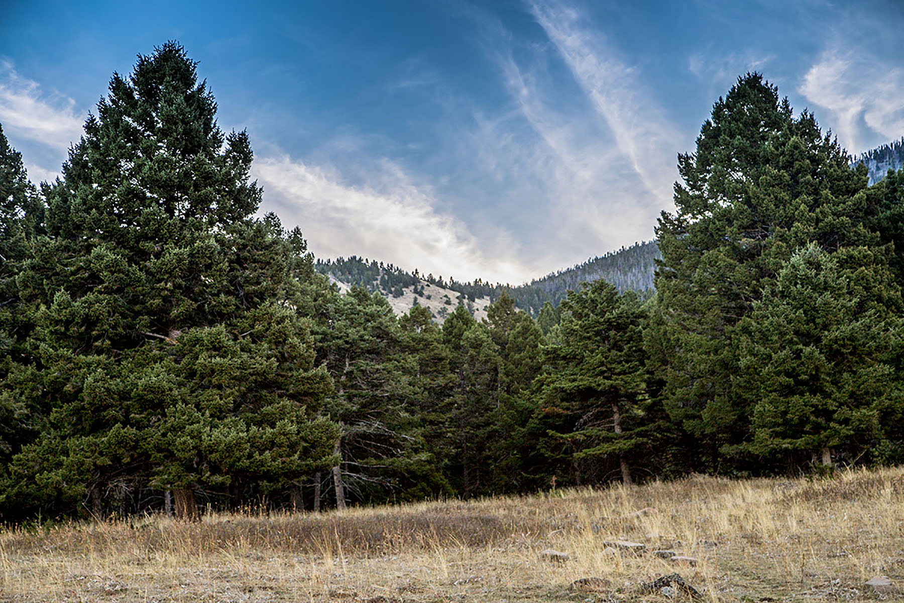 Quagle Creek Ranch property picture 8 of 19