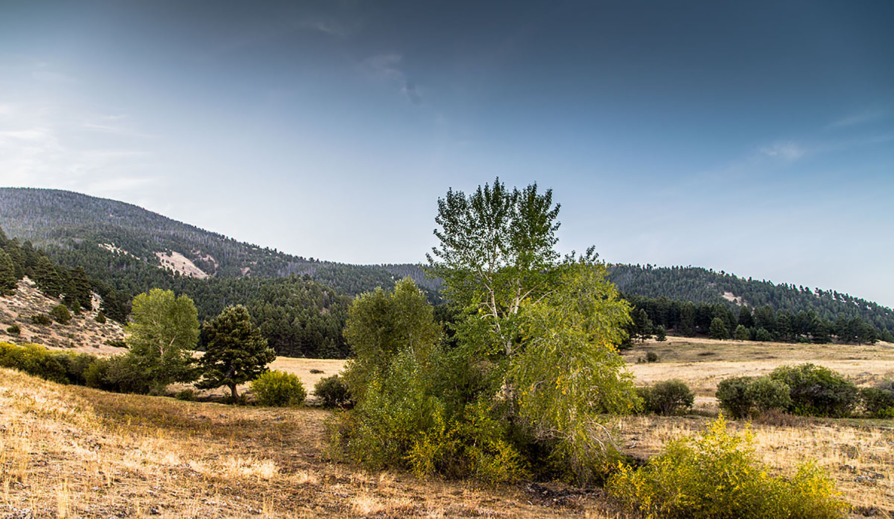 Quagle Creek Ranch property picture 17 of 19