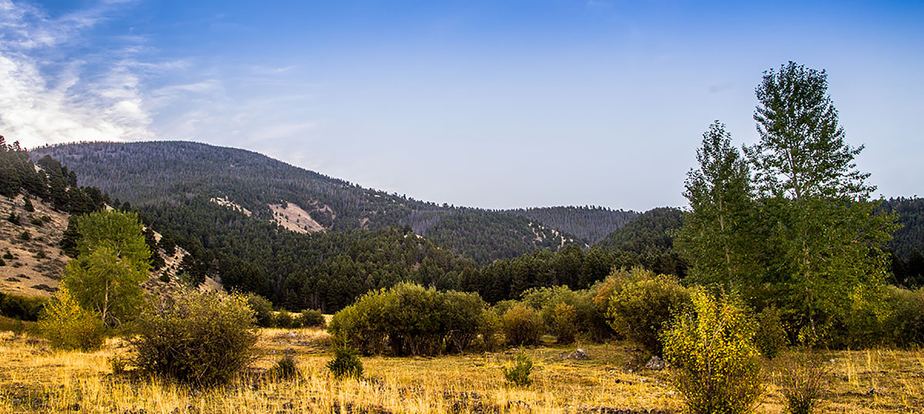 Quagle Creek Ranch property picture 19 of 19