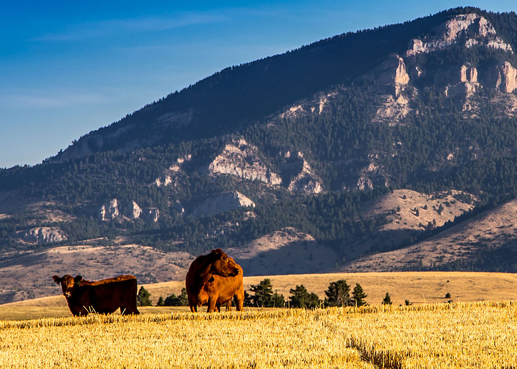 Quagle Creek Ranch property picture 9 of 19