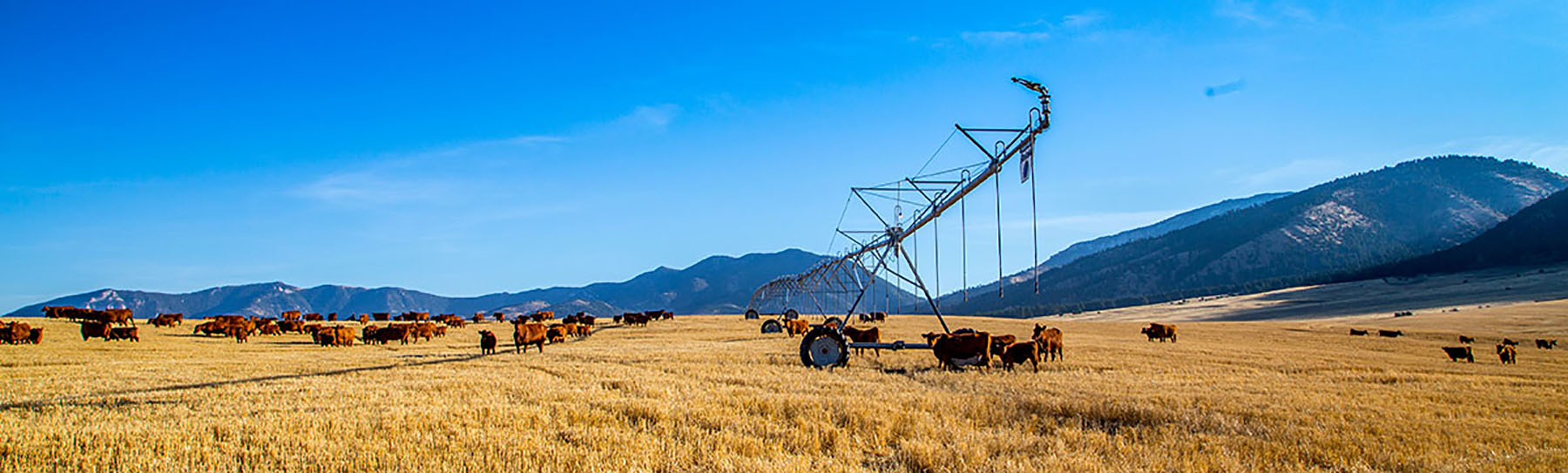Quagle Creek Ranch property picture 3 of 19
