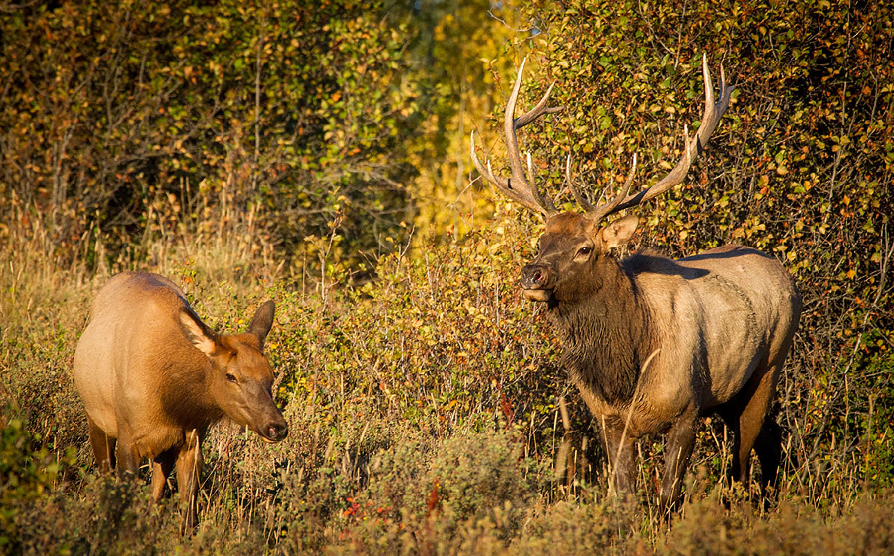 Quagle Creek Ranch property picture 18 of 19