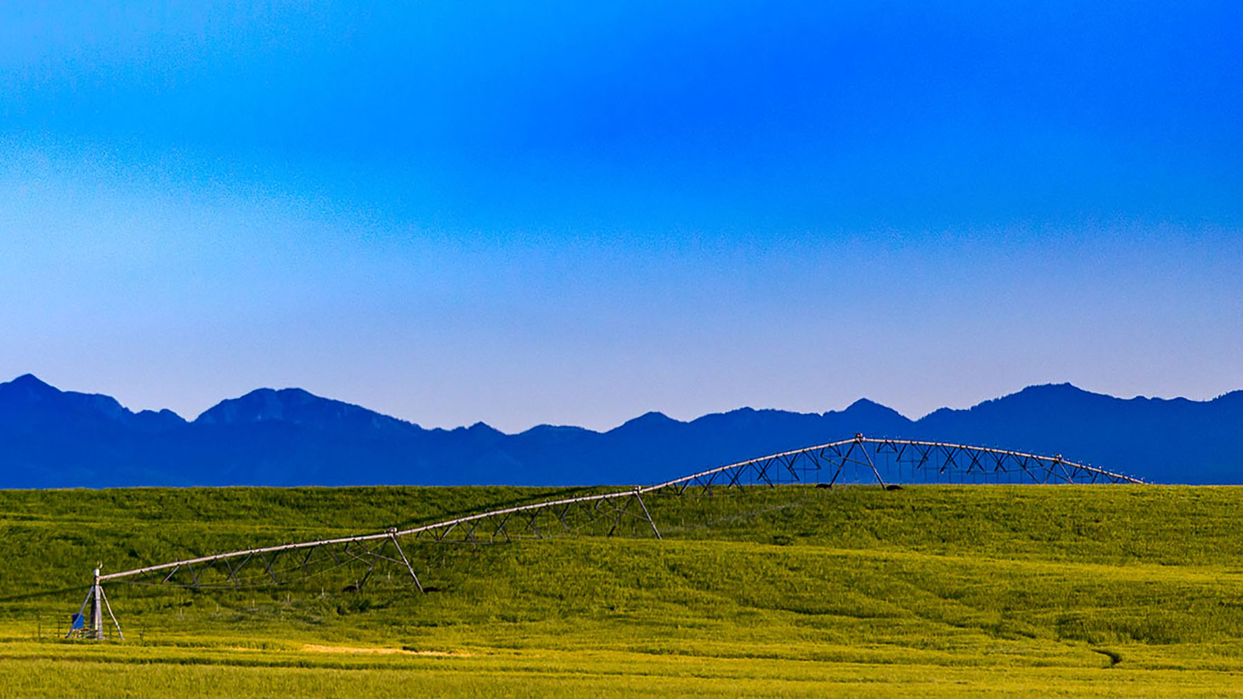 Quagle Creek Ranch property picture 10 of 19