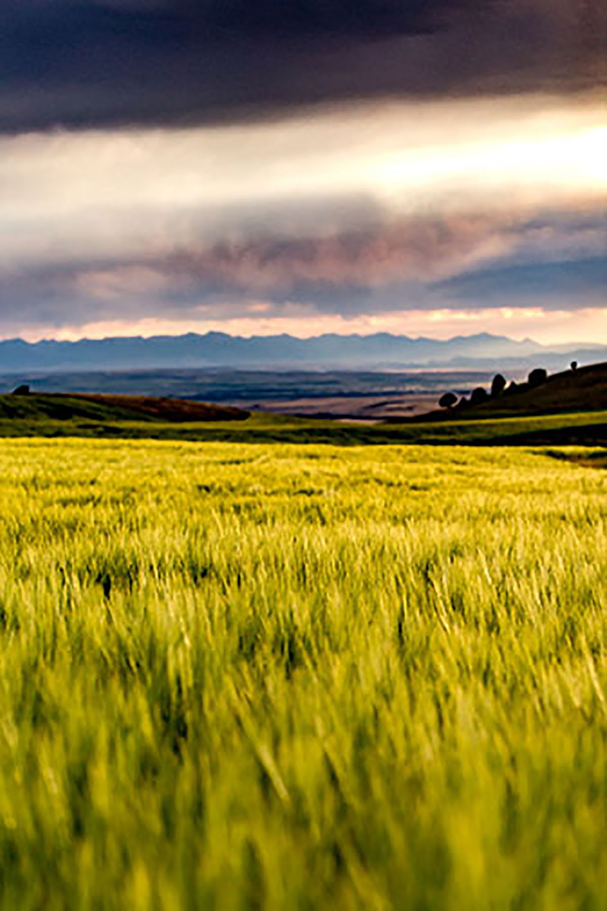 Quagle Creek Ranch property picture 2 of 19