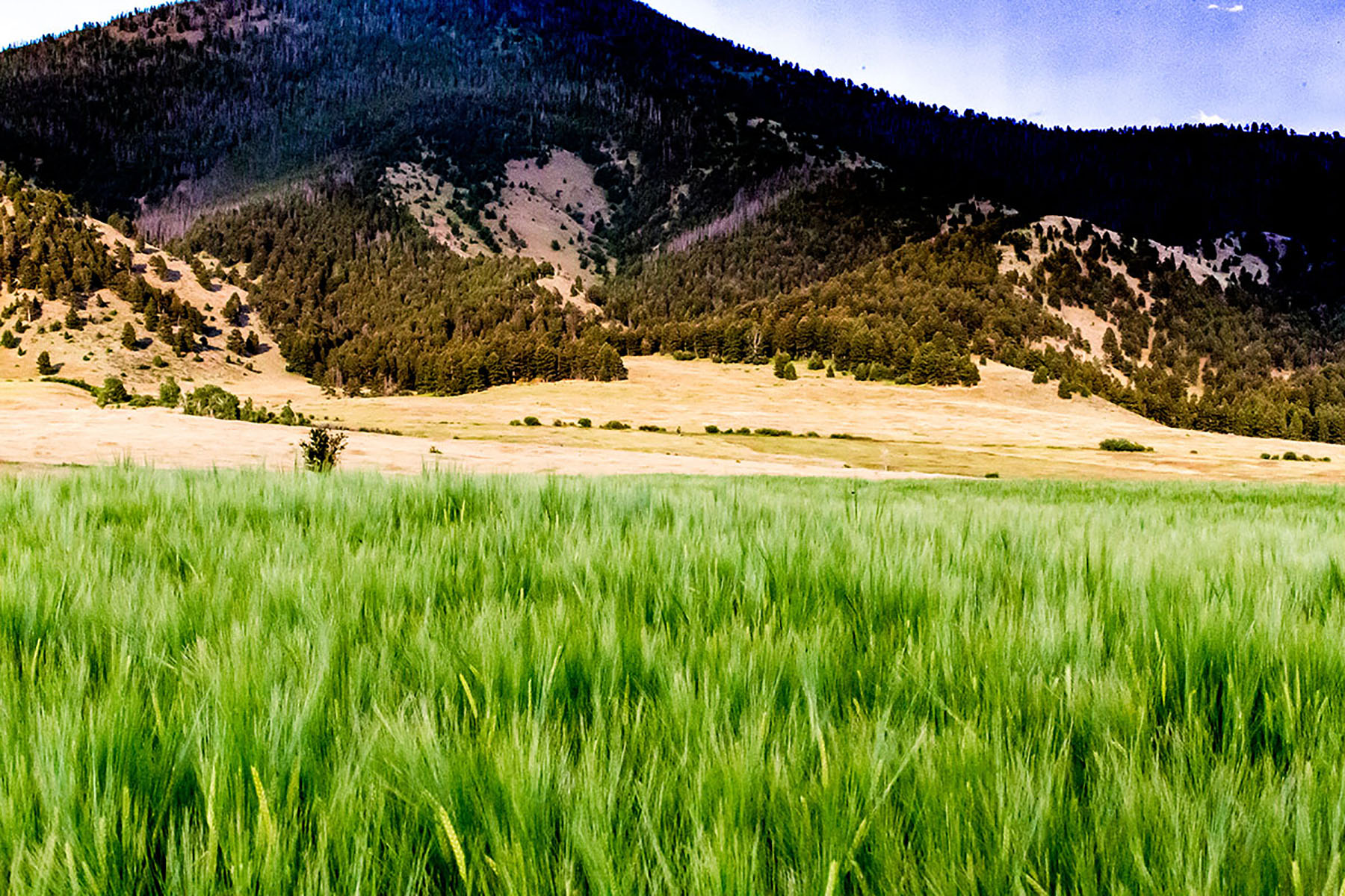 Quagle Creek Ranch property picture 13 of 19