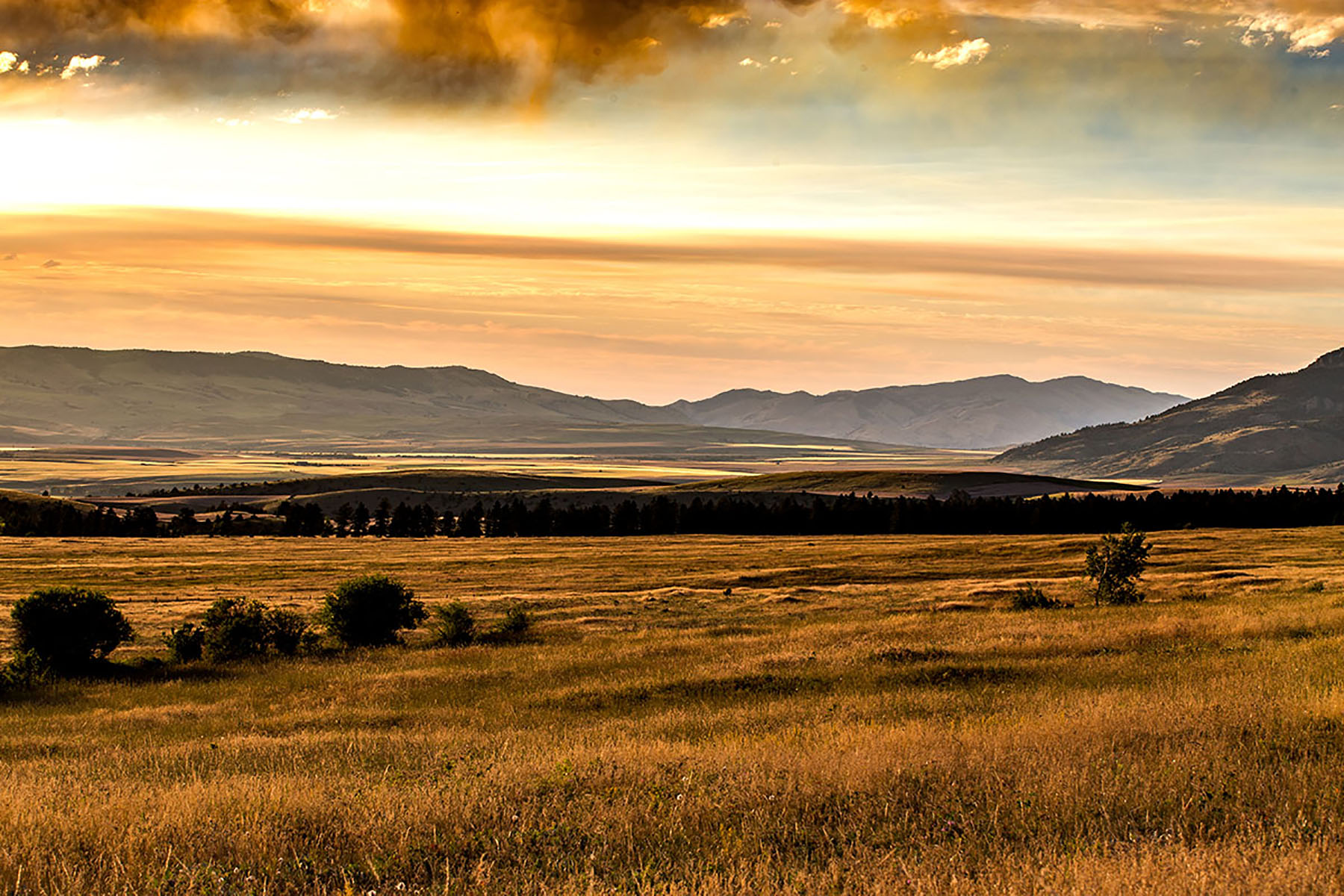 Quagle Creek Ranch property picture 12 of 19