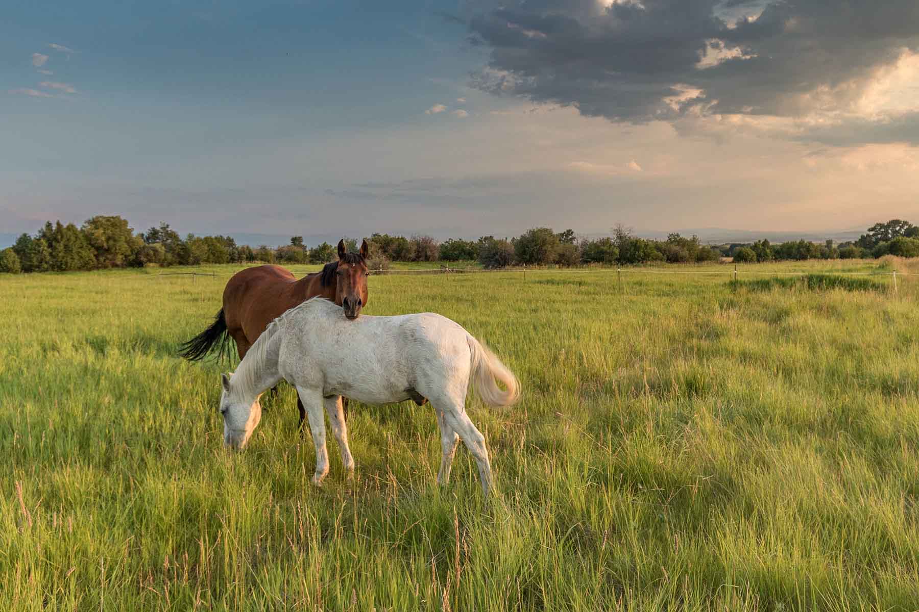 Cranefield property picture 7 of 41