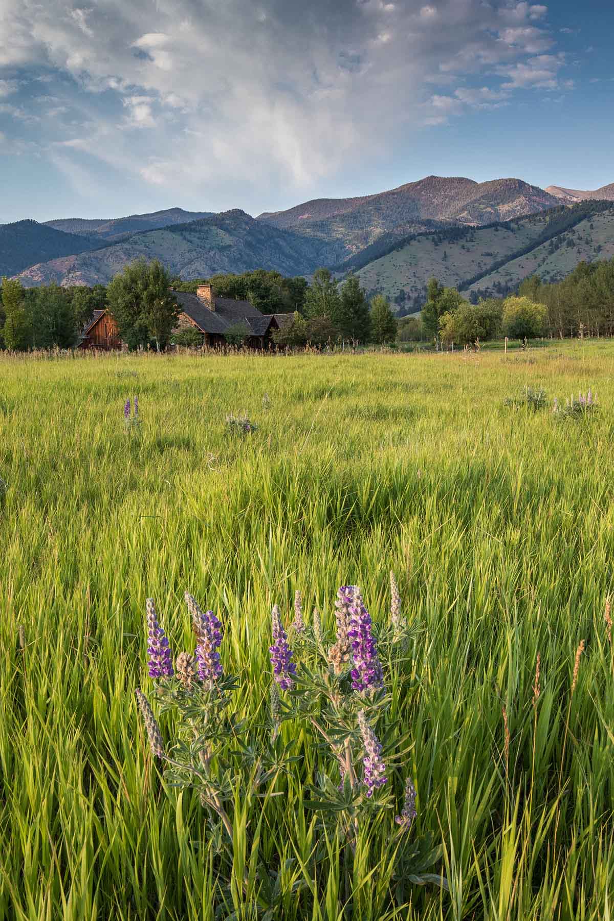 Cranefield property picture 12 of 41