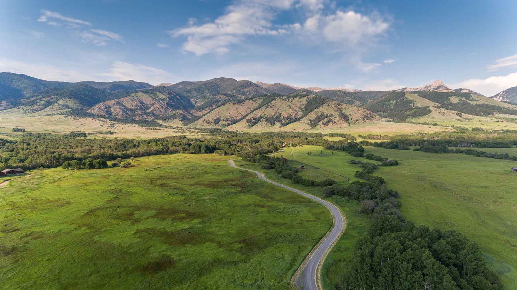 Cranefield property picture 5 of 41