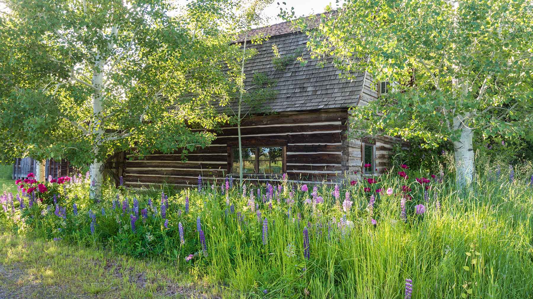 Cranefield property picture 13 of 41