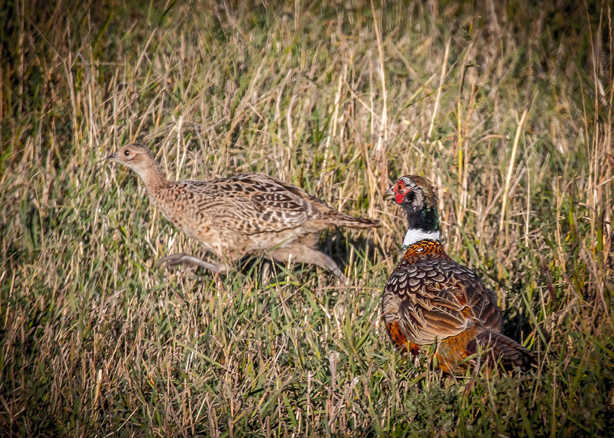 Cranefield property picture 15 of 41