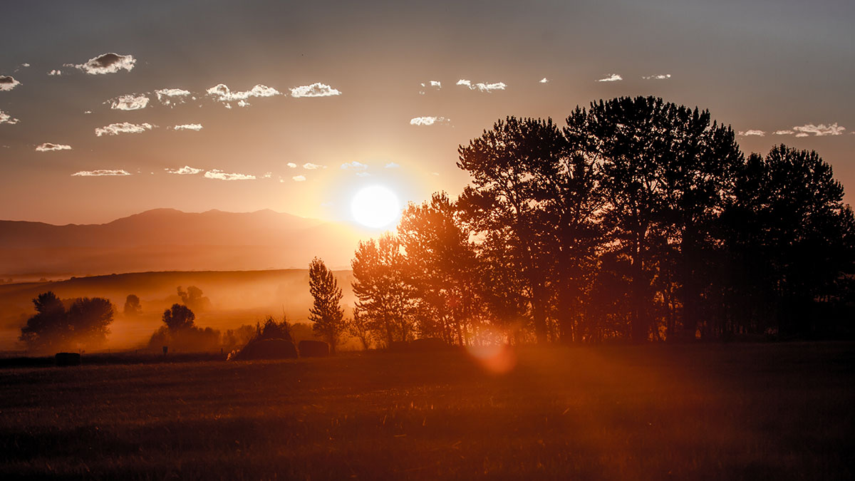 Cranefield property picture 18 of 41