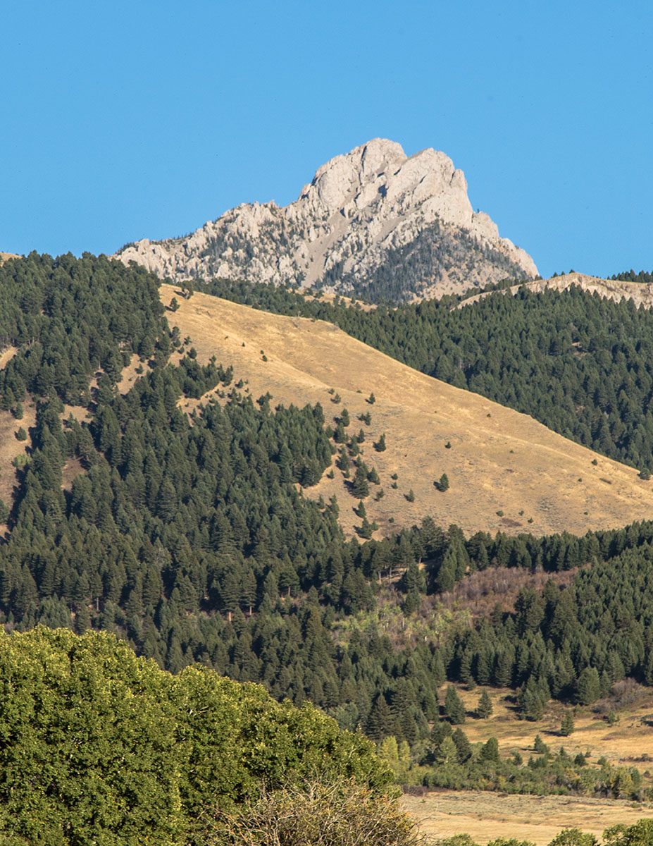 Cranefield property picture 22 of 41