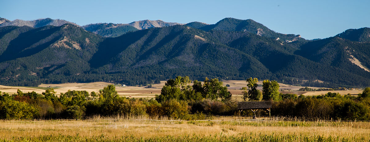 Cranefield property picture 23 of 41