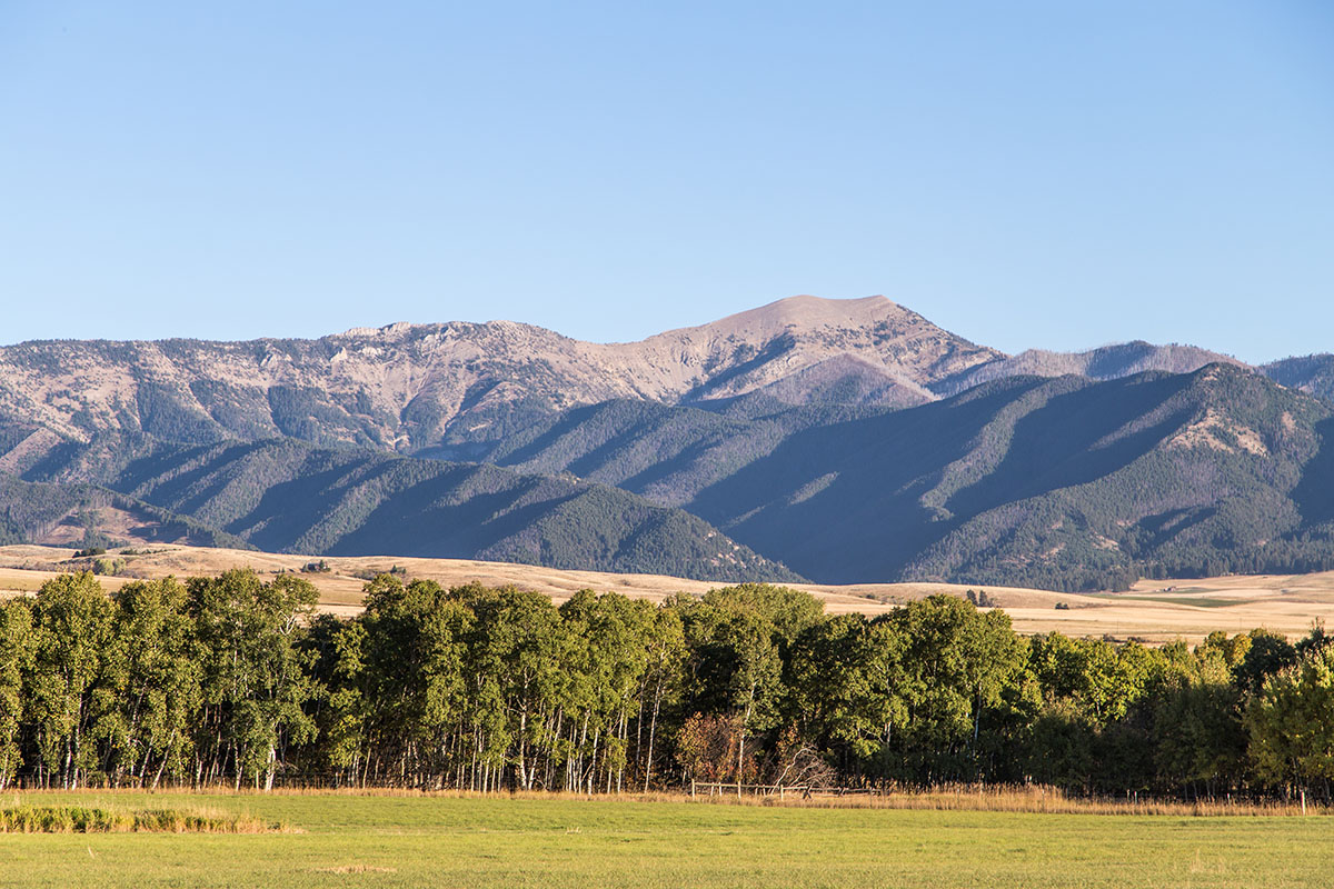 Cranefield property picture 25 of 41