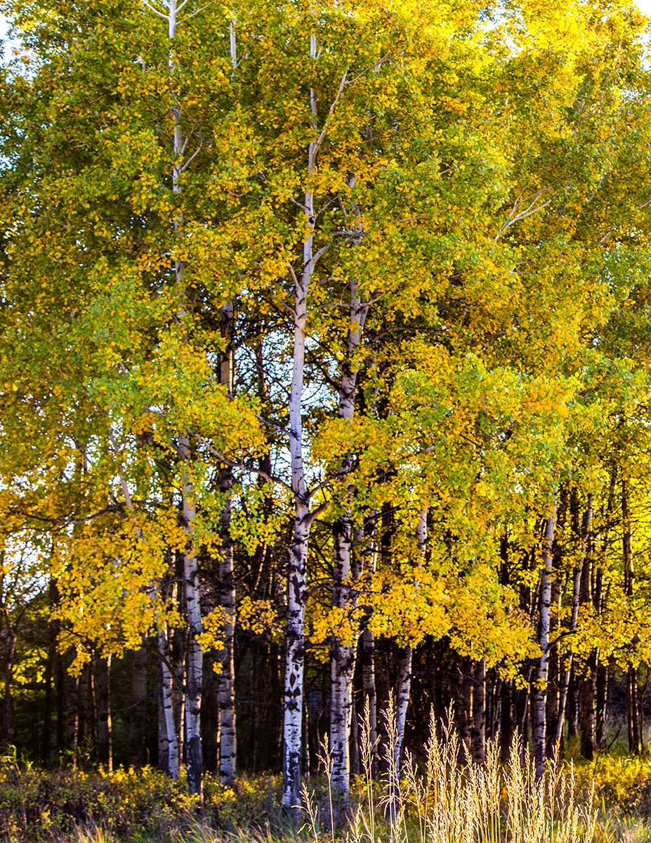 Cranefield property picture 26 of 41