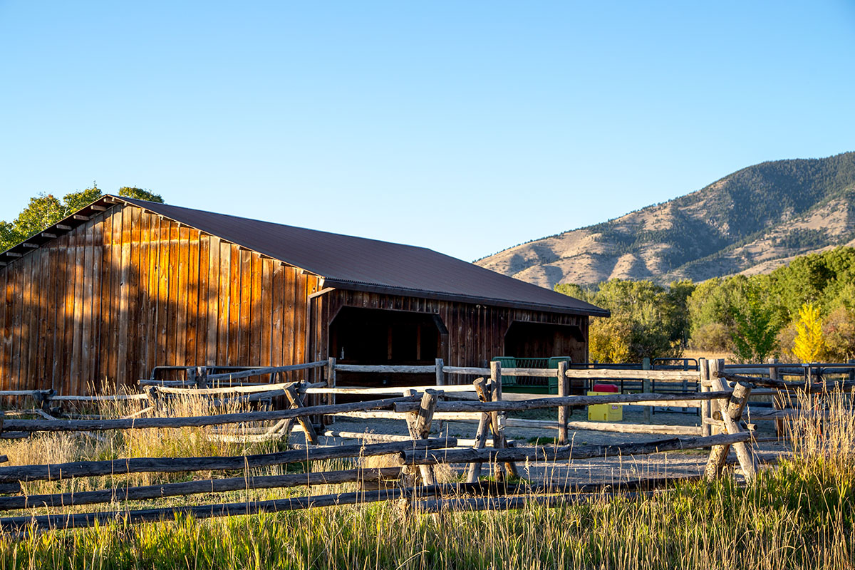 Cranefield property picture 27 of 41