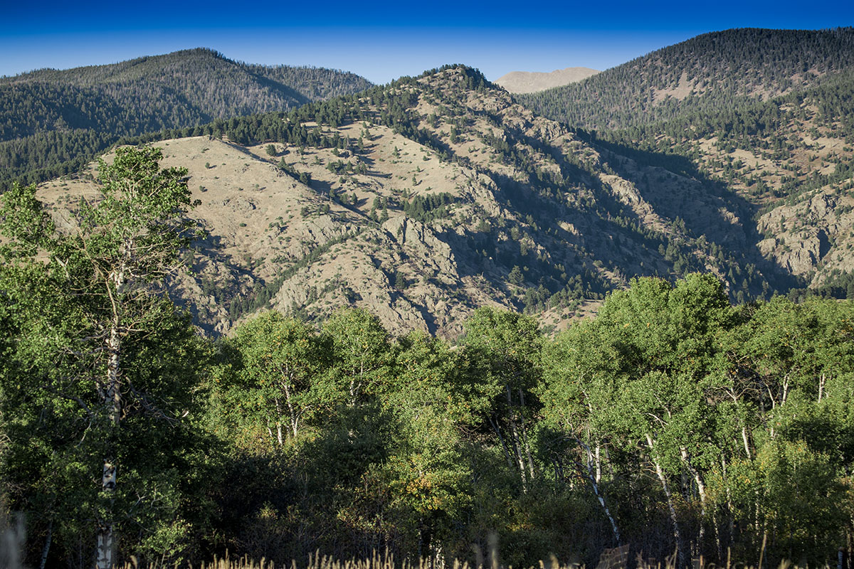 Cranefield property picture 28 of 41