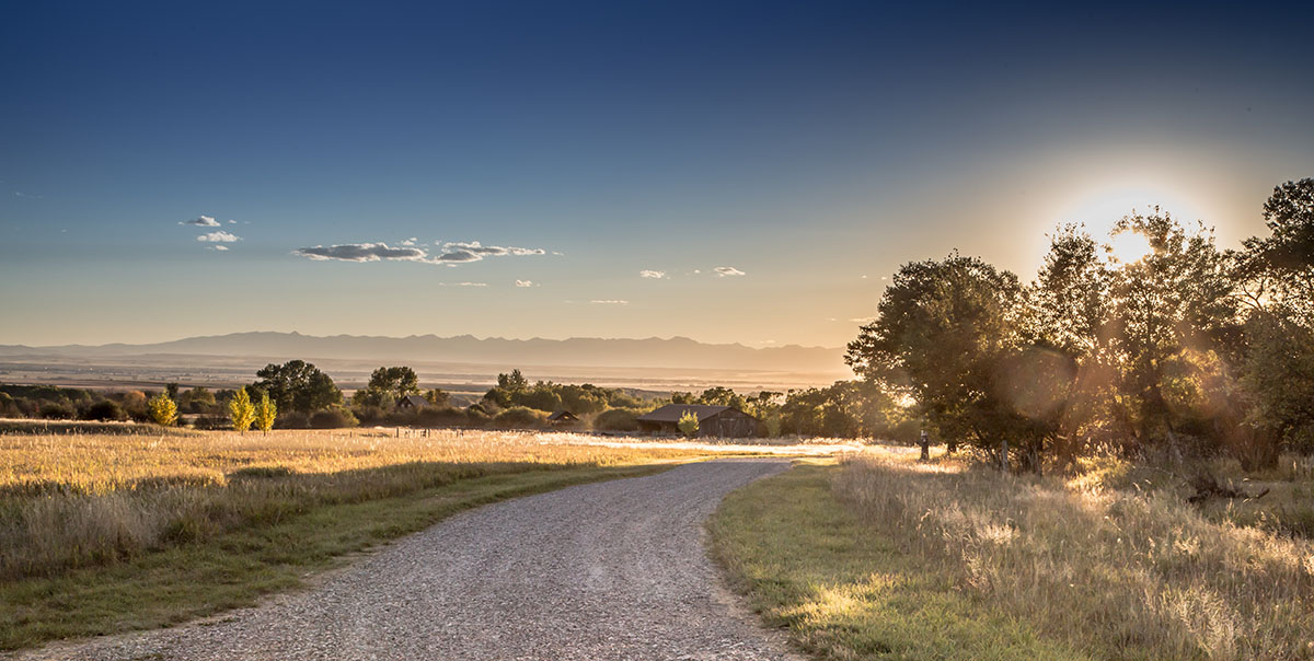 Cranefield property picture 39 of 41