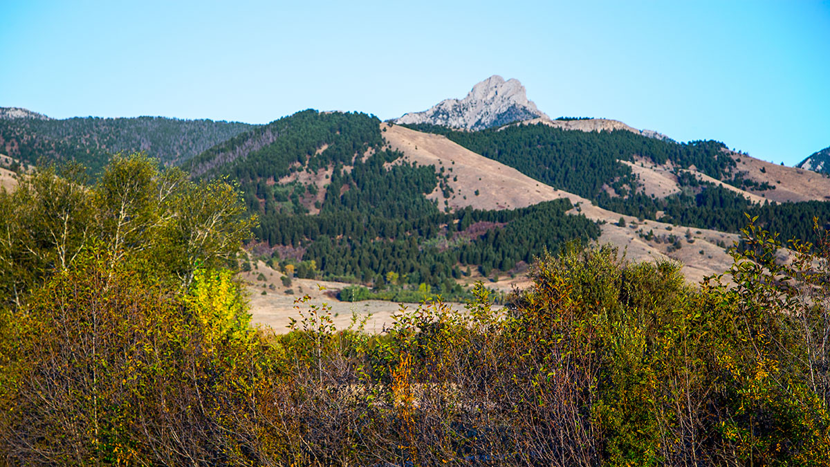 Cranefield property picture 36 of 41