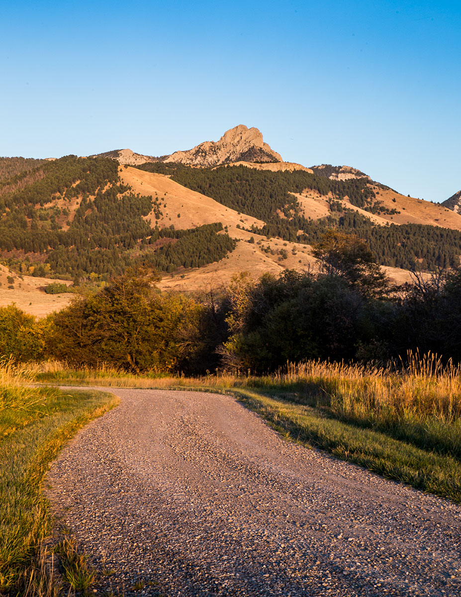 Cranefield property picture 35 of 41
