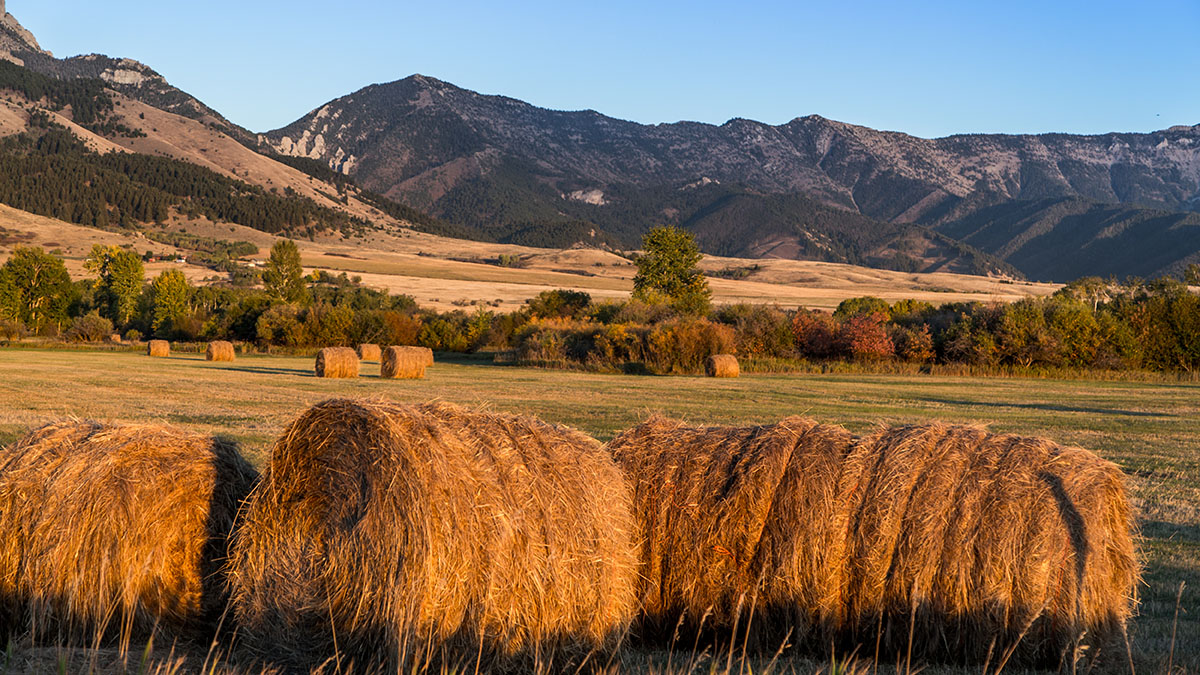 Cranefield property picture 40 of 41