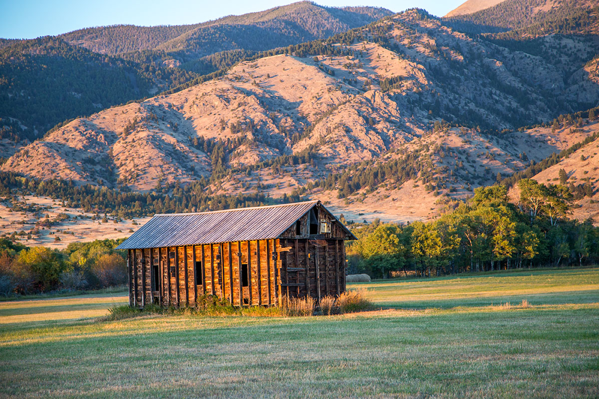 Cranefield property picture 34 of 41