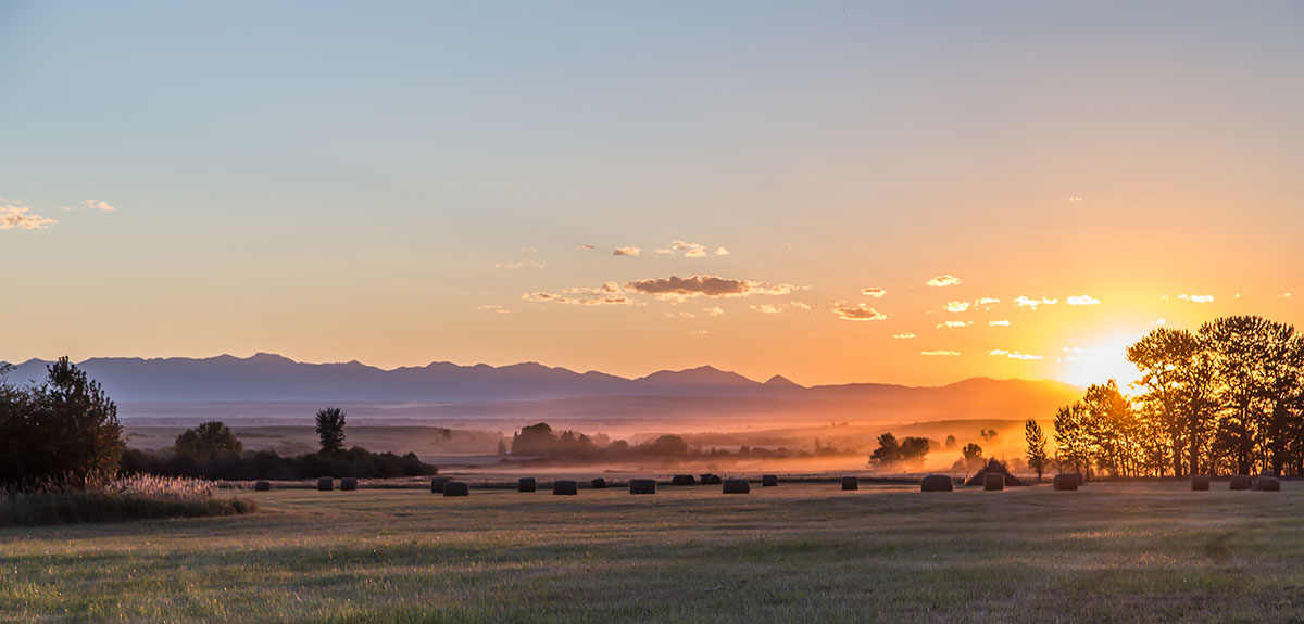 Cranefield property picture 33 of 41