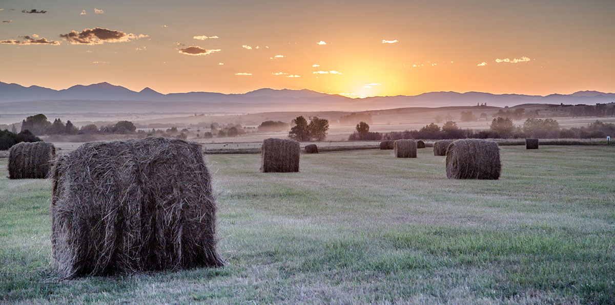 Cranefield property picture 32 of 41
