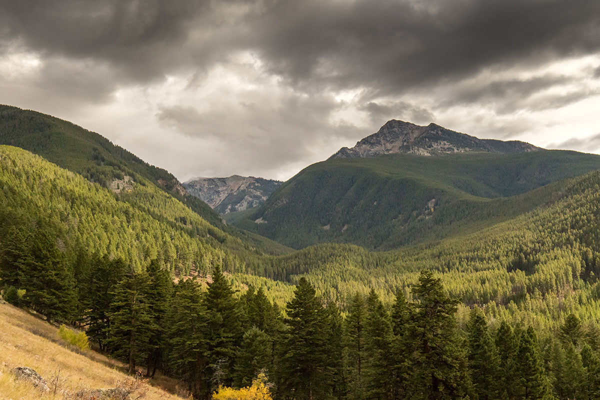 Strawberry Creek Ranch property picture 11 of 14