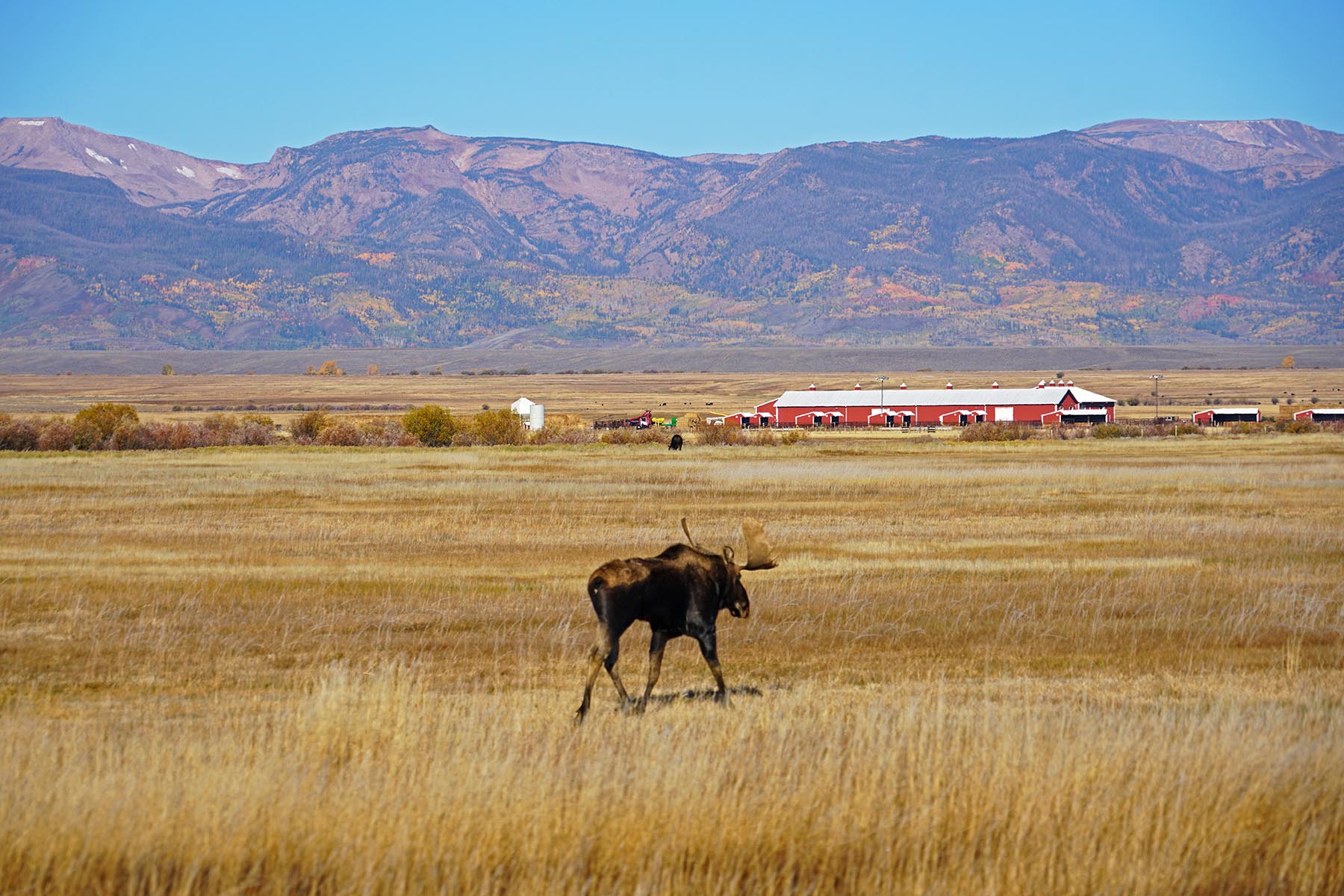 Mountain Meadow Ranch property picture 3 of 20