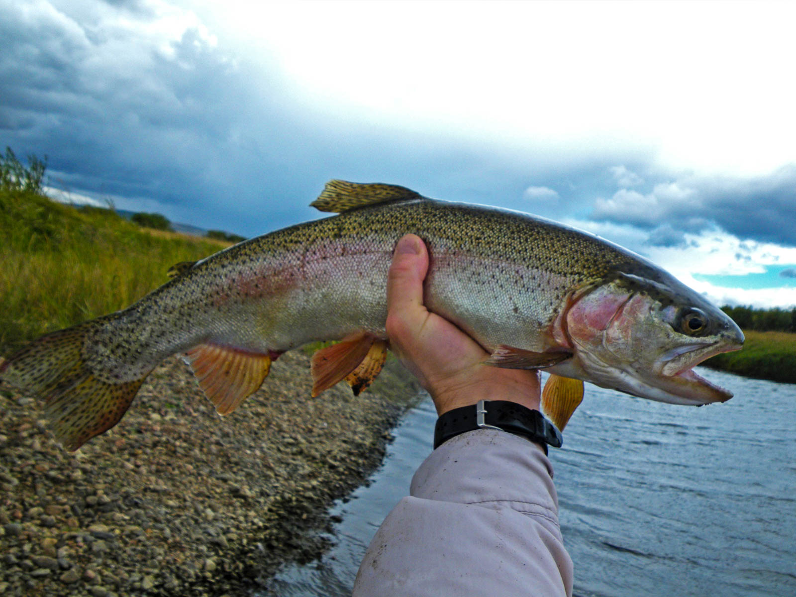 Mountain Meadow Ranch property picture 18 of 20
