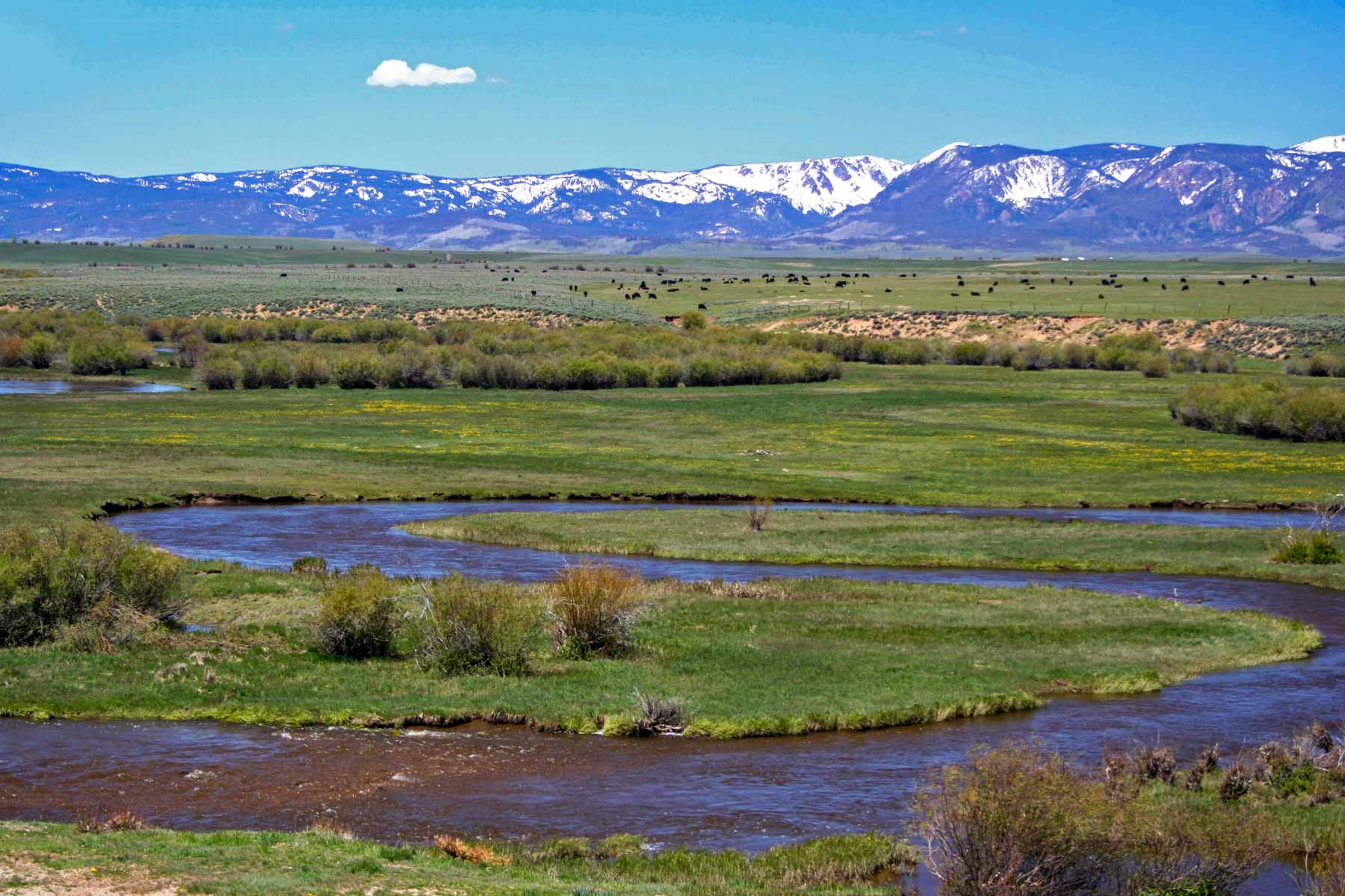 Mountain Meadow Ranch property picture 15 of 20