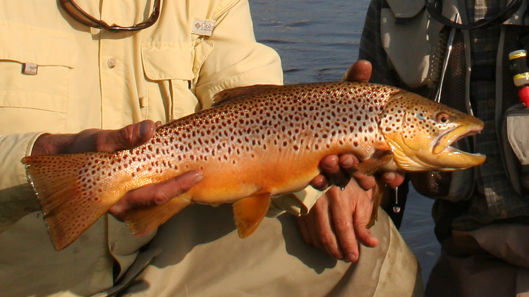 Mountain Meadow Ranch property picture 11 of 20