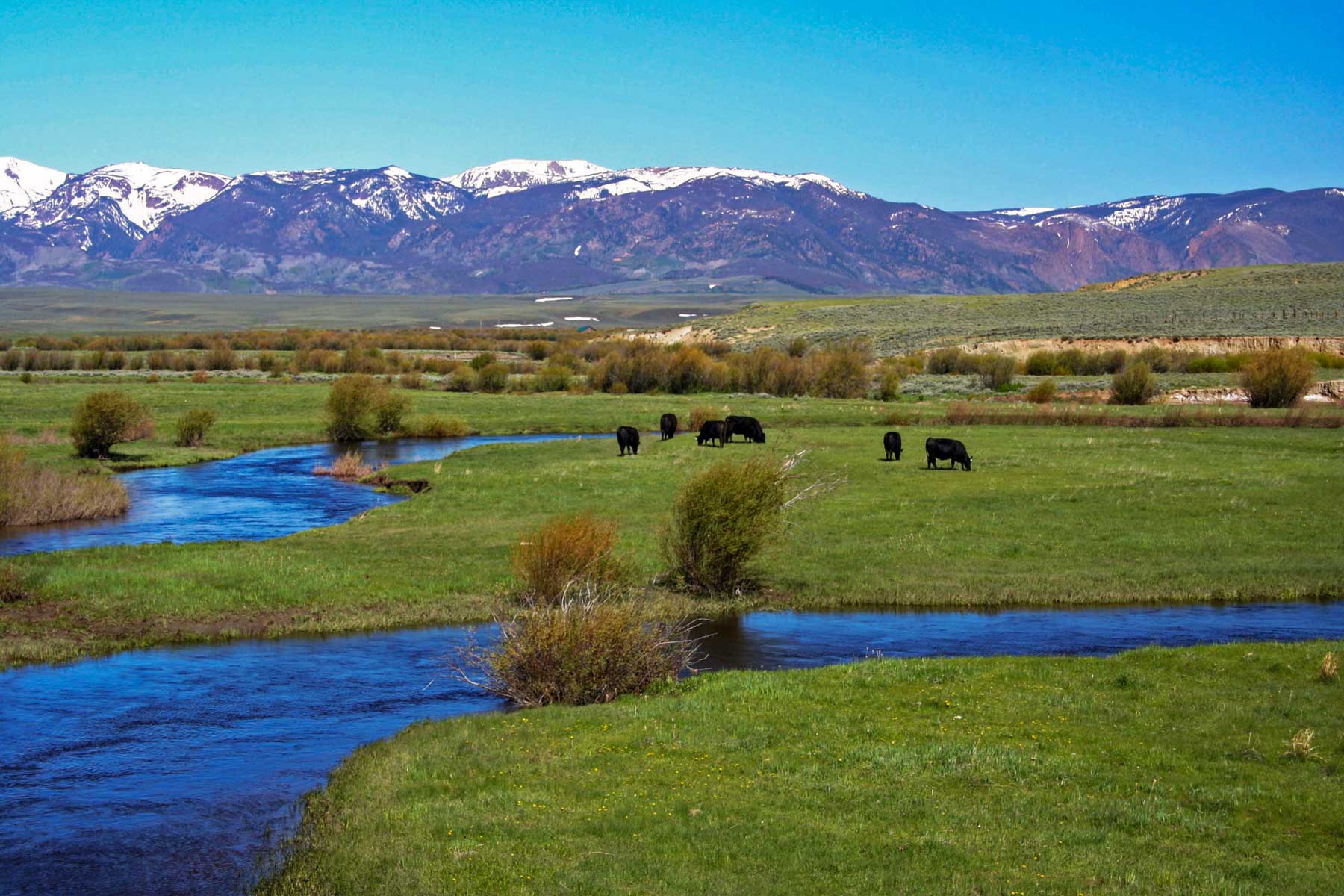 Mountain Meadow Ranch property picture 6 of 20