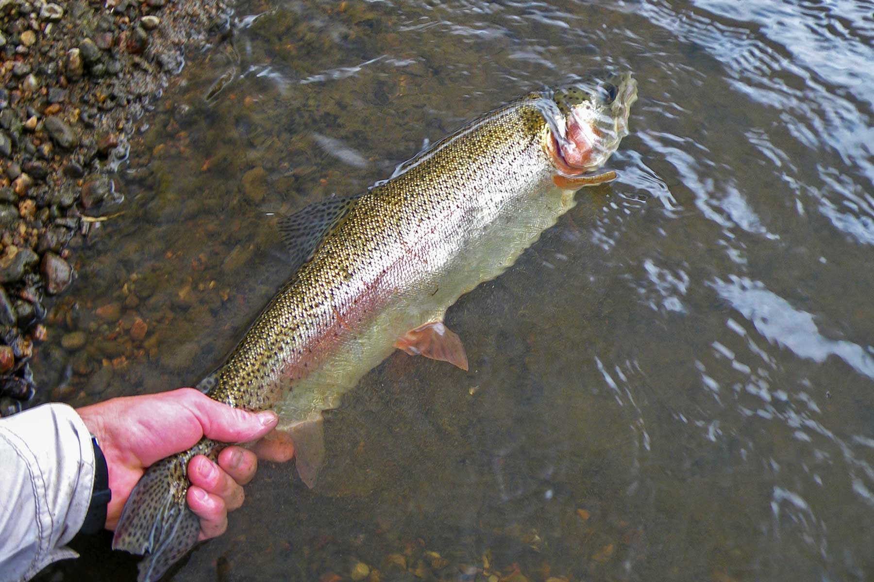 Mountain Meadow Ranch property picture 13 of 20