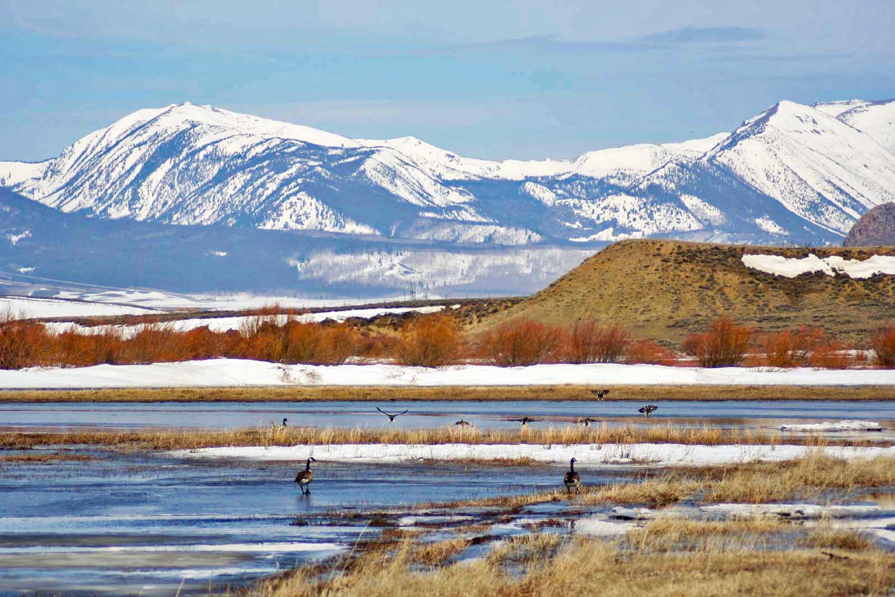 Mountain Meadow Ranch property picture 14 of 20