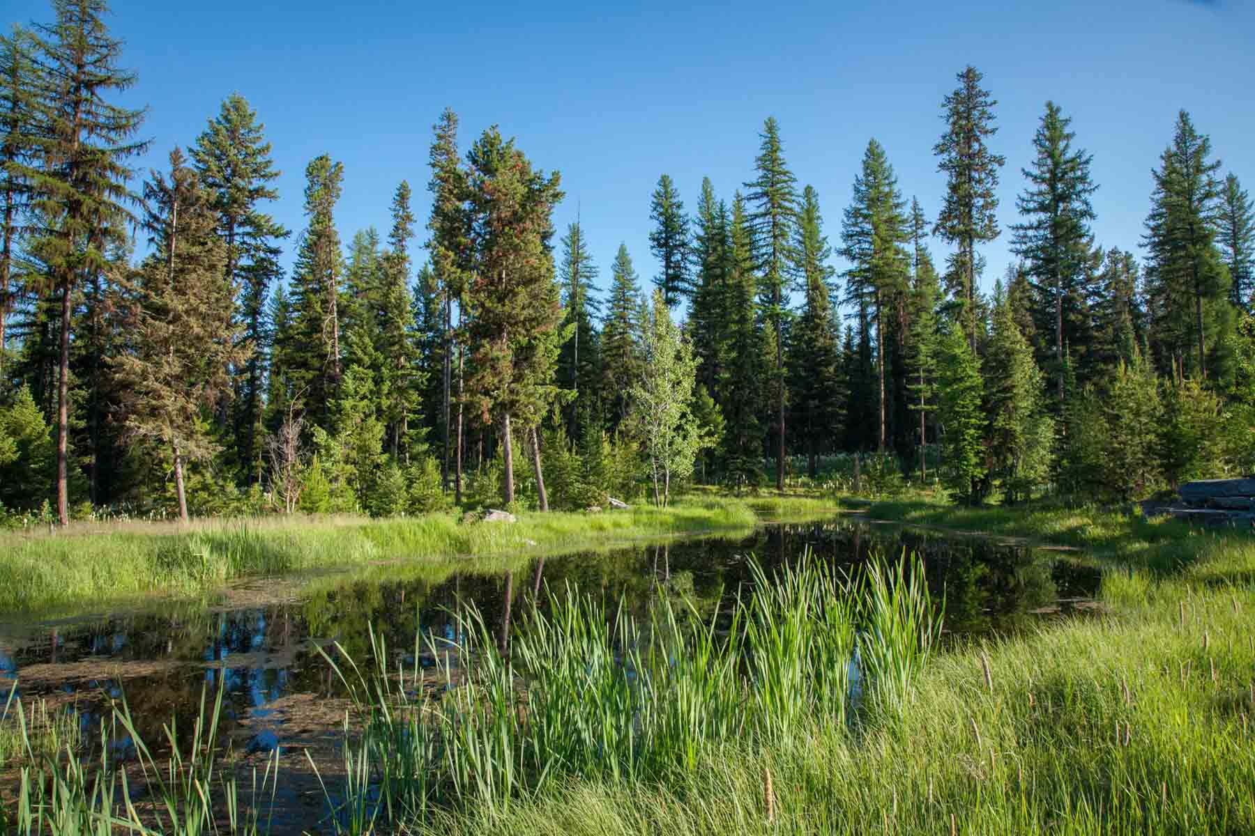 The Summit property picture 28 of 43