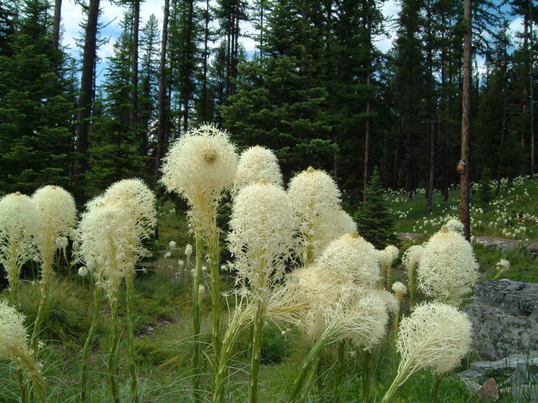 The Summit property picture 30 of 43