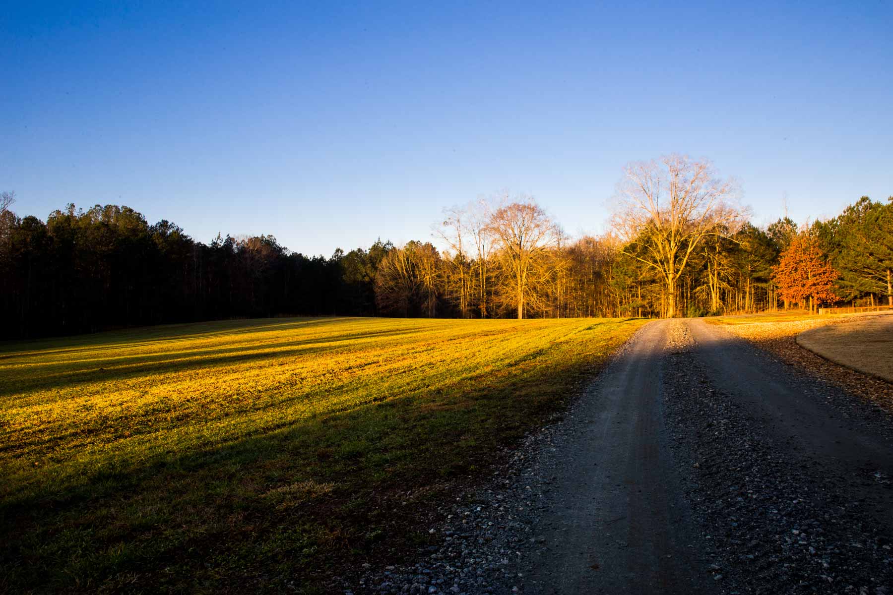 Oconee Farm property picture 2 of 65
