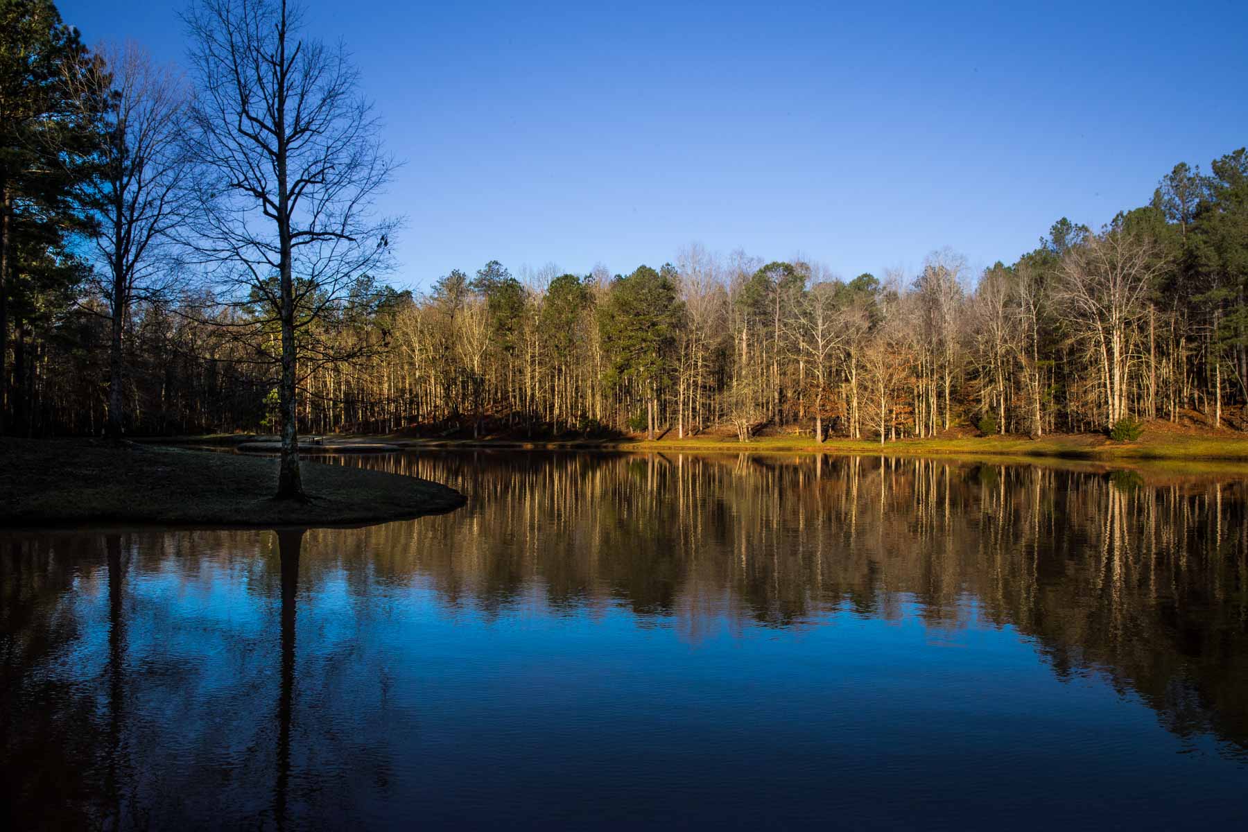 Oconee Farm property picture 3 of 65