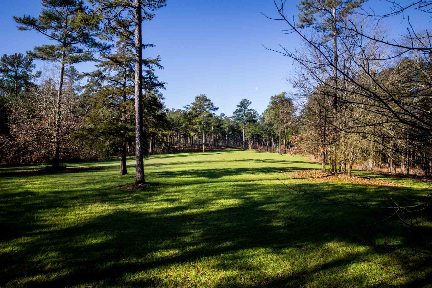 Oconee Farm property picture 6 of 65