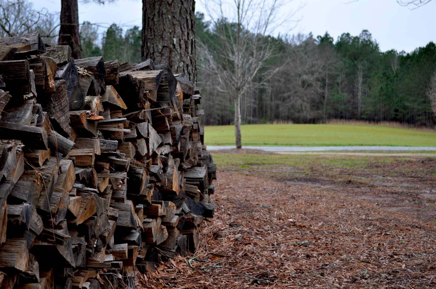 Oconee Farm property picture 8 of 65