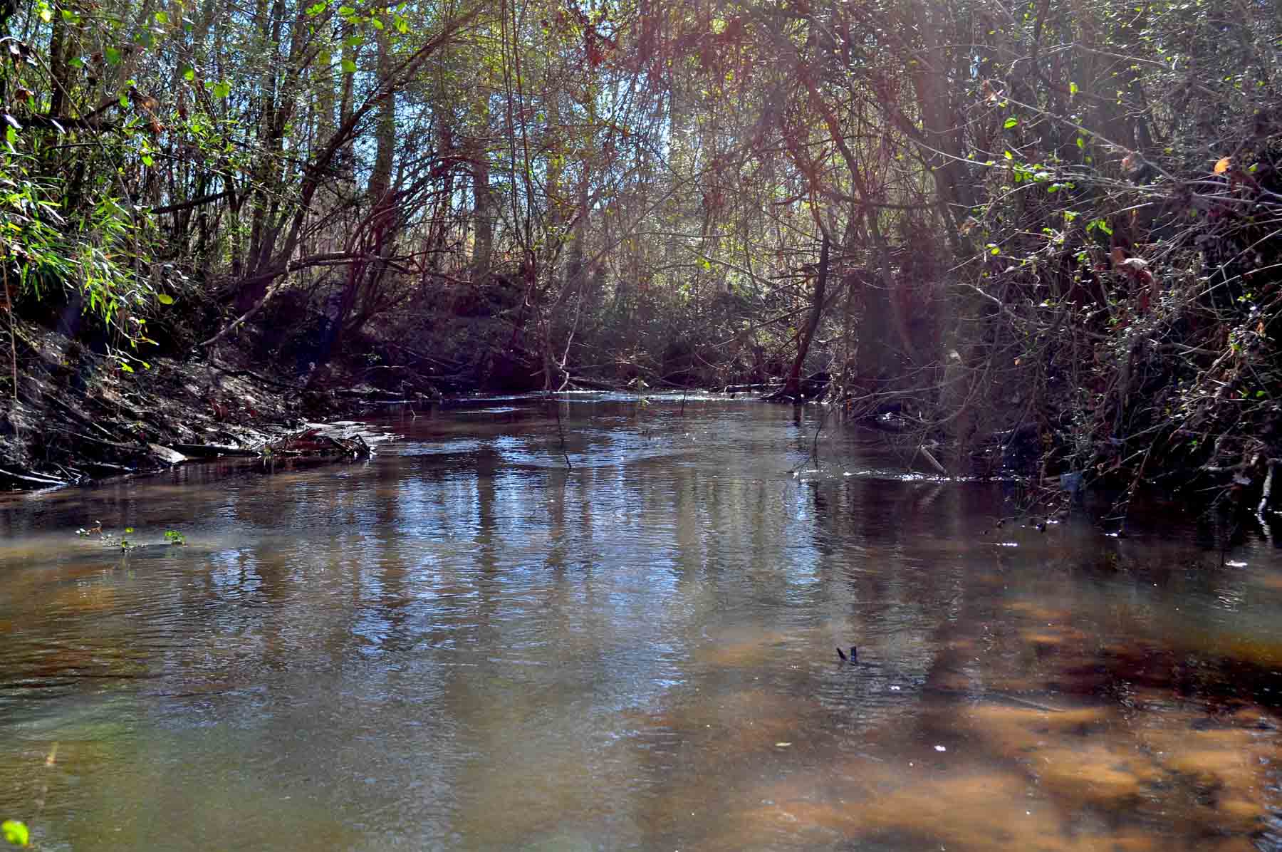 Oconee Farm property picture 10 of 65