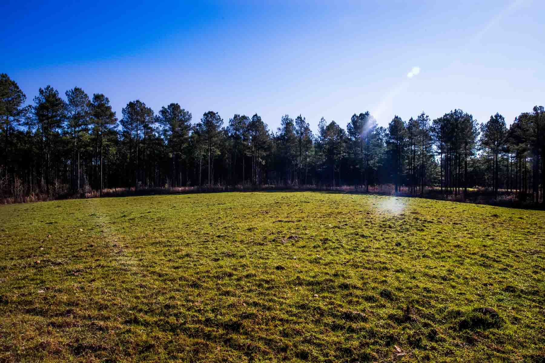Oconee Farm property picture 16 of 65