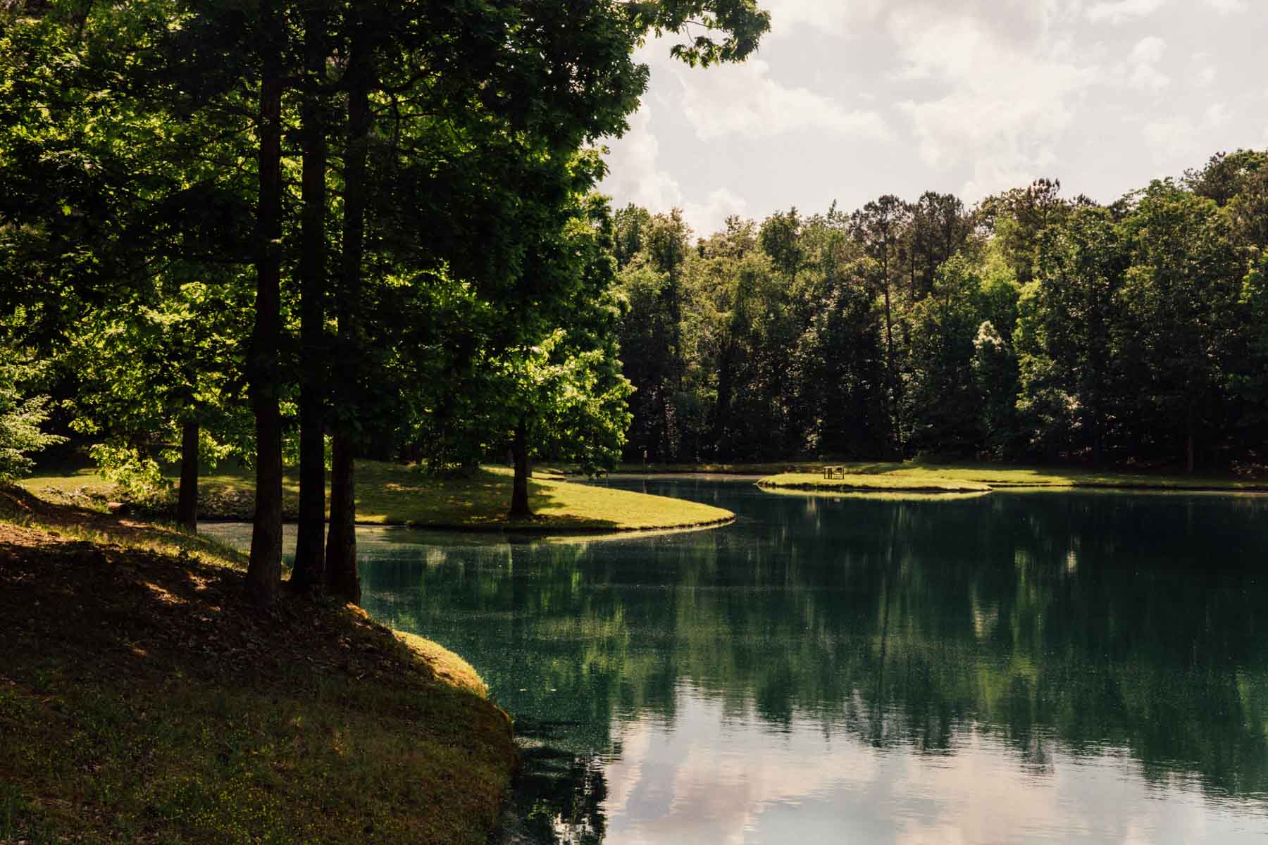 Oconee Farm property picture 21 of 65