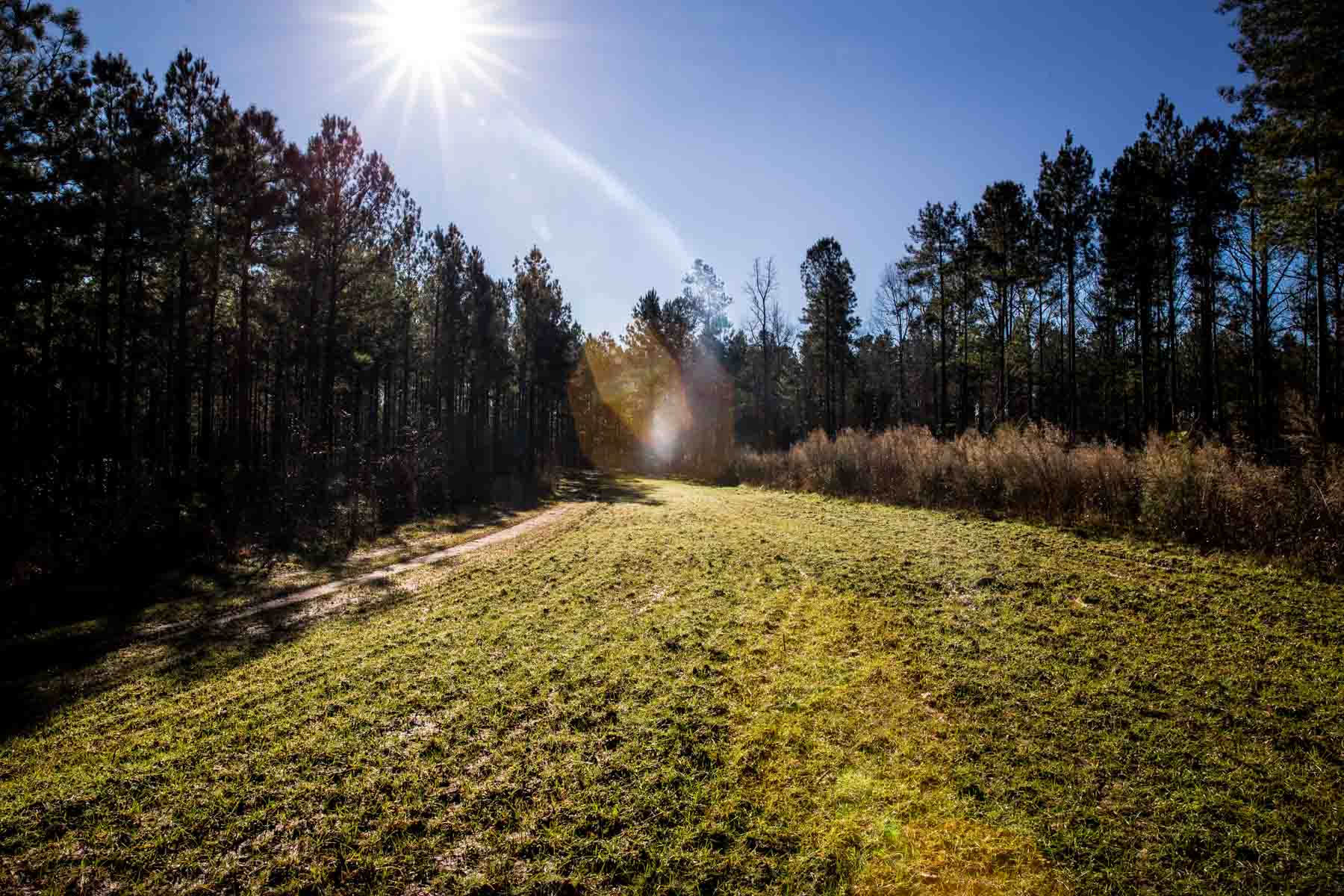 Oconee Farm property picture 25 of 65