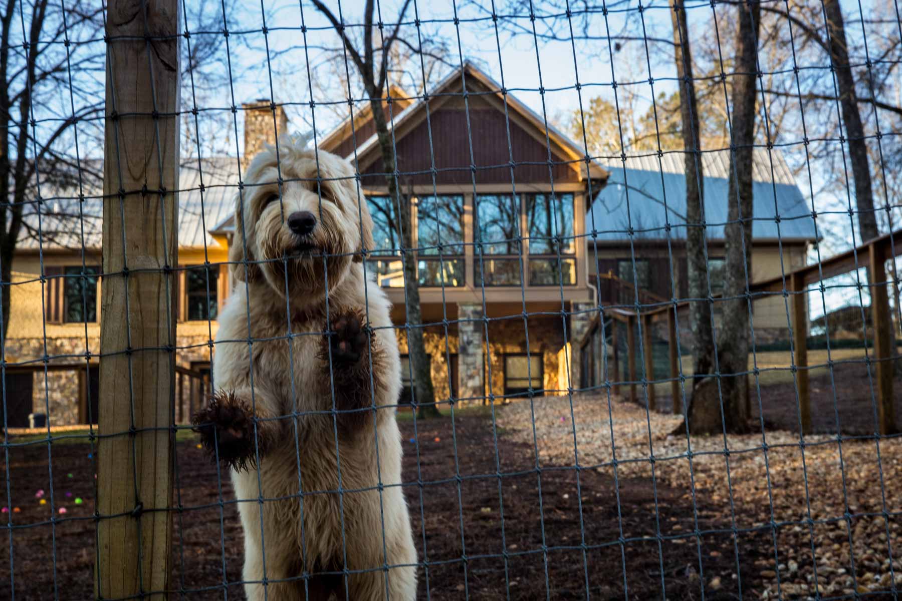 Oconee Farm property picture 31 of 65