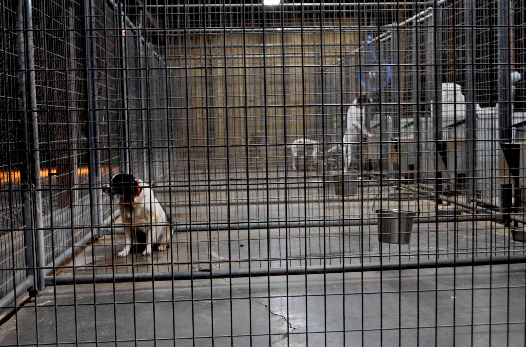 Oconee Farm property picture 56 of 65